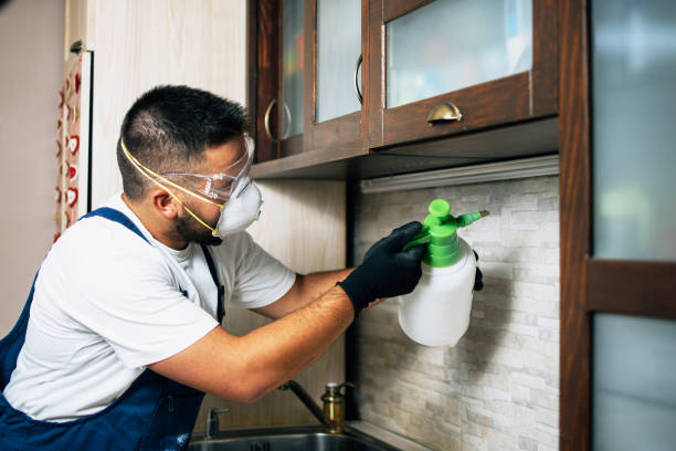 Best Affordable Pest Control Services  in Wollochet, WA