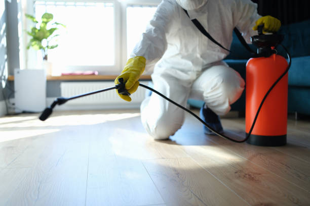 Best Local Pest Control Services  in Wollochet, WA