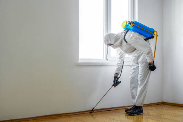 Professional Pest Control in Wollochet, WA